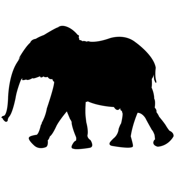 Silueta de elefante bebé en blanco — Archivo Imágenes Vectoriales