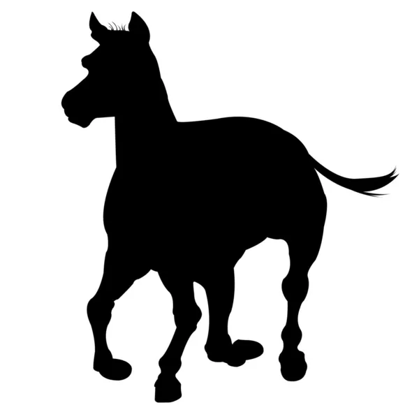 Paard silhouet geïsoleerd op wit — Stockvector