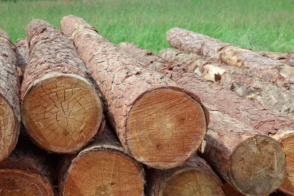 Logs on grass. — Stock Photo, Image