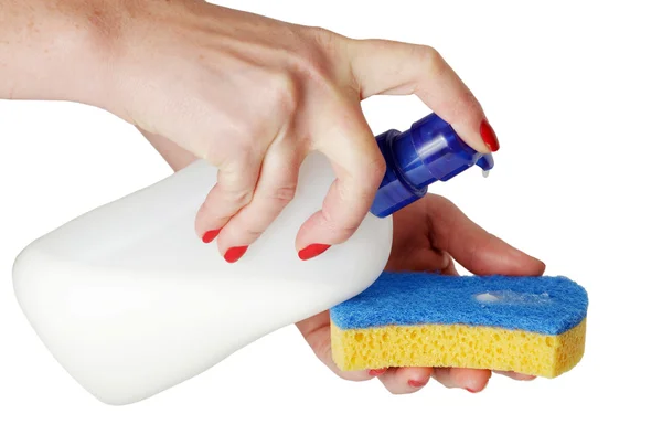 Sponge for wash utensil — Stock Photo, Image