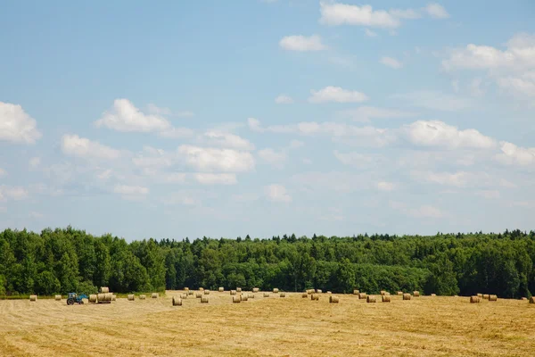 牧草生产 — 图库照片