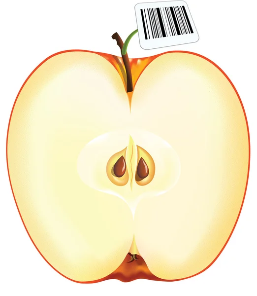 Nuova varietà di mele — Vettoriale Stock