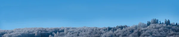 Зимняя панорама с церковью — стоковое фото