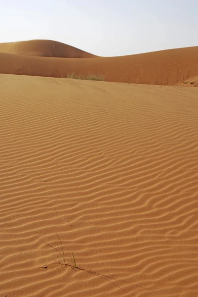 Пустыня — стоковое фото