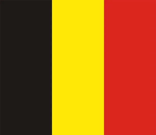 ベルギーの国民 id — ストック写真