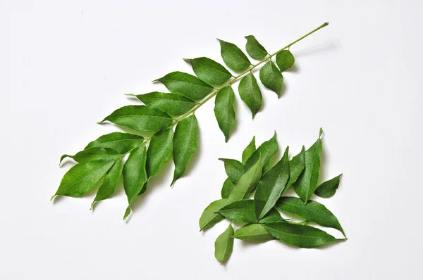 Curry leaves Stock Photos, Royalty Free Curry leaves Images | Depositphotos