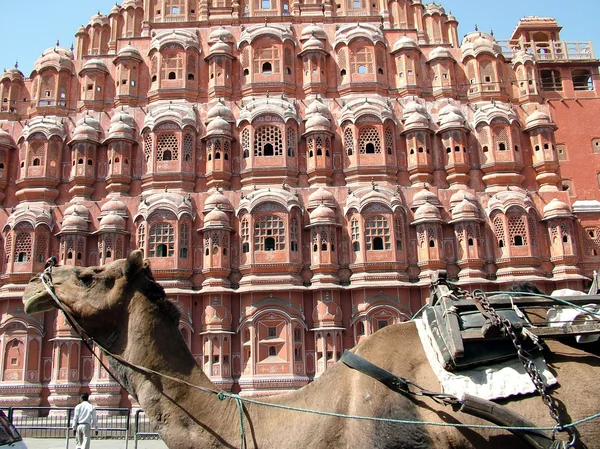 Hawa Mahal og Jaipur og Rajesthan – stockfoto
