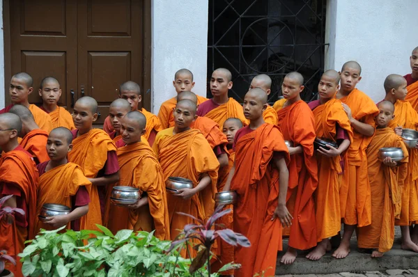 Comunidade de Buda, esperando o almoço — Fotografia de Stock