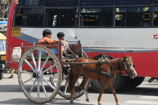 Wózek klasyczny koń — Zdjęcie stockowe