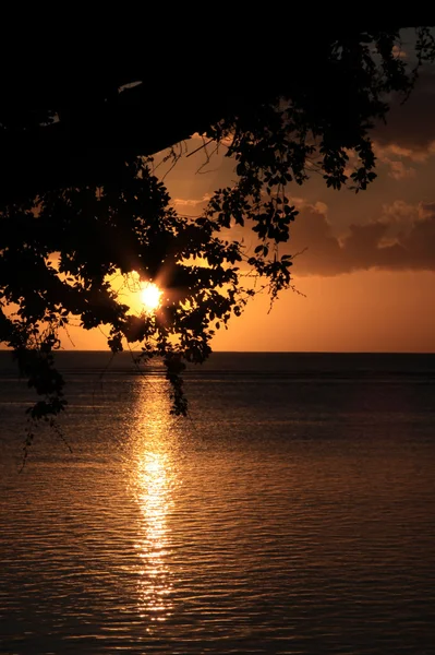 stock image Tropical sunset