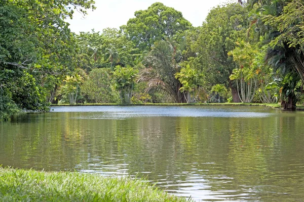 stock image Tropical lake