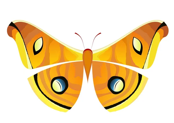 Schmetterling 4 — Stockvektor
