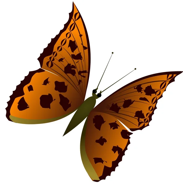 Schmetterling 1 — Stockvektor