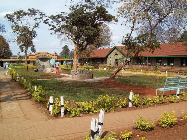 케냐 — 스톡 사진
