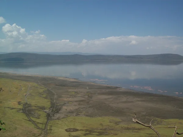 stock image Lake Nakuru