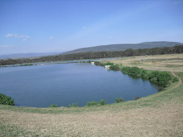 Gölü nakuru