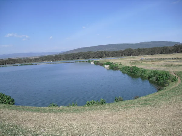 Lake Nakuru Stockfoto