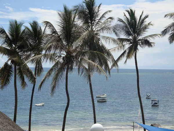 Playa en un hotel de lujo, mombasa, kenya Imágenes de stock libres de derechos