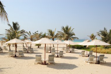 Kumsalda lüks hotel, dubai, Birleşik Arap Emirlikleri