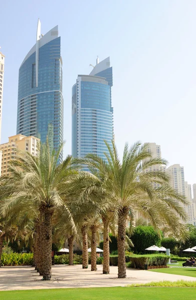 Palm lane no centro de Dubai, Emirados Árabes Unidos — Fotografia de Stock