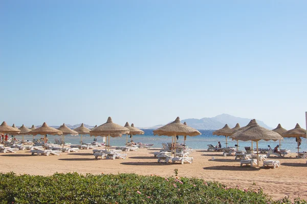 Spiaggia sulla costa del Mar Rosso — Foto Stock