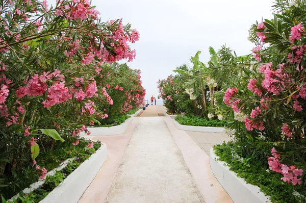 Path to beach, Antalya, Turkey — Stock Photo, Image