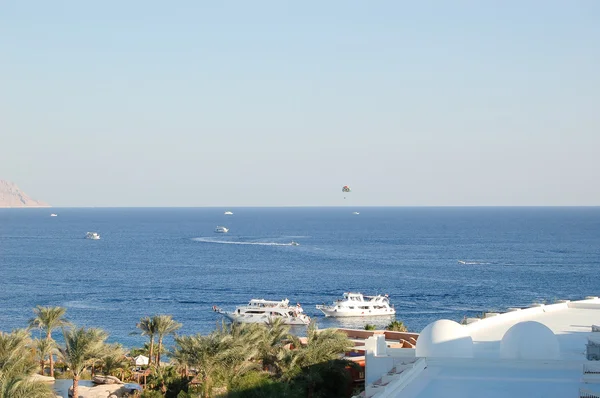 Red See costa em Sharm el Sheikh, Egito — Fotografia de Stock
