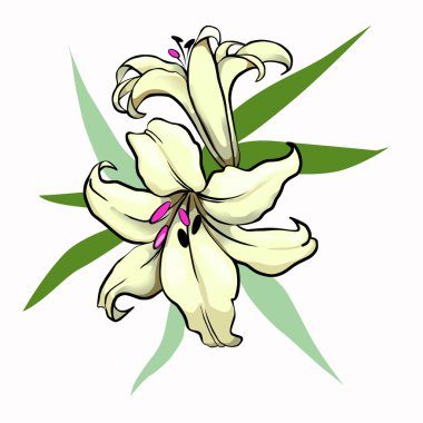 Yellow lily clipart