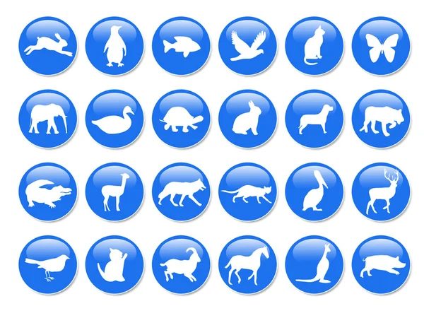 Blauwe pictogrammen. — Stockfoto