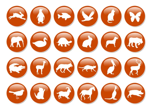 Many icons. — Stock Photo, Image