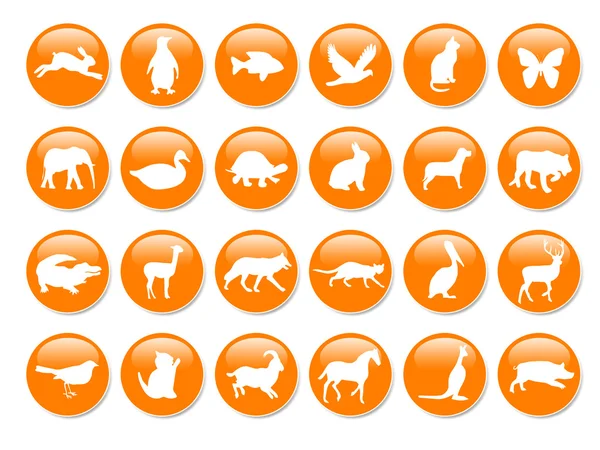 Viele orangefarbene Symbole — Stockfoto