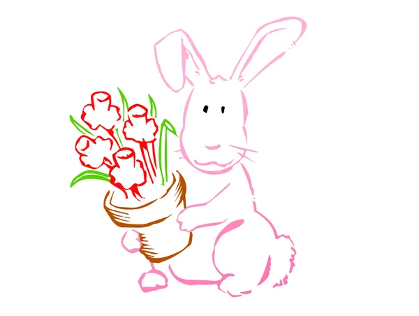 Charming rabbit — Stock Photo, Image