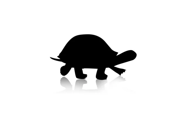 Schildkrötensilhouette — Stockfoto