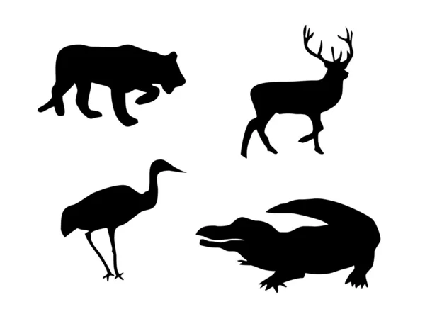 Lev, jelen, pták a krokodýl silhouet — Stock fotografie