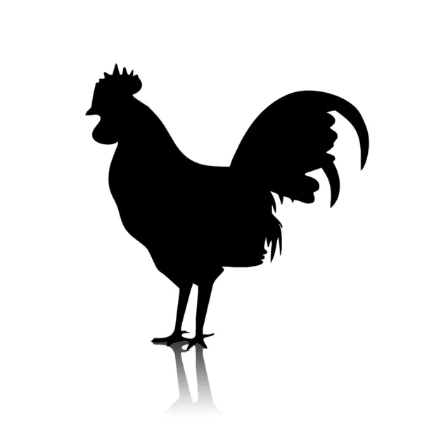 मुर्गा आकार — स्टॉक फ़ोटो, इमेज