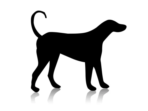 Czarny pies sylwetka — Zdjęcie stockowe