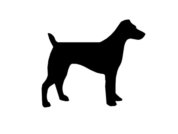 Sylwetka psa — Zdjęcie stockowe