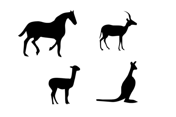 Cavalo, cordeiro, silhuetas canguru — Fotografia de Stock
