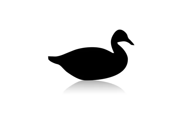 Ördek siluet siyah — Stok fotoğraf
