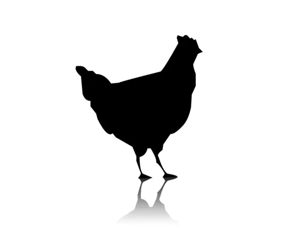 Силуэт чёрной курицы — стоковое фото