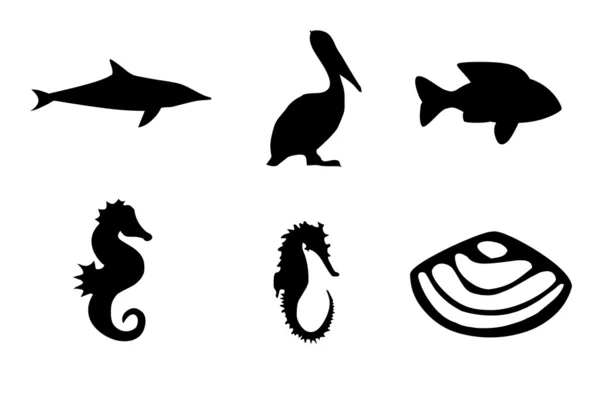 Sea animal life — Stock Photo, Image