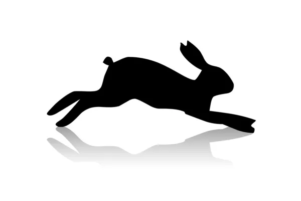 Заяц бегает — стоковое фото