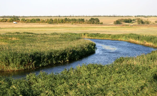 stock image River and field