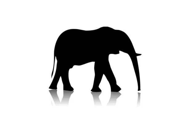 Svart elefant siluett Stockbild