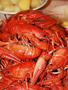 Fresh boiled crawfish clipart