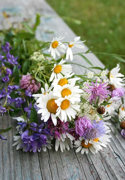 Summer bunch of flowers — Stock Photo, Image