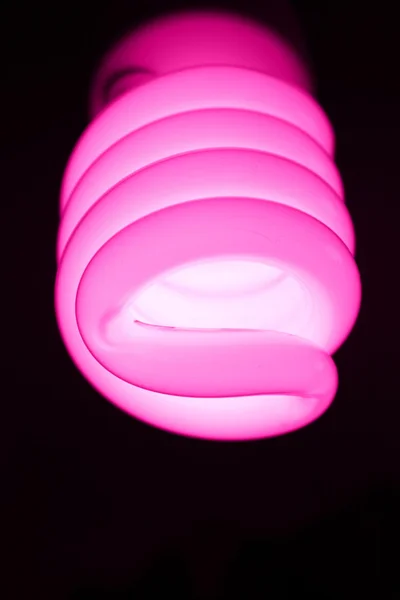 stock image Spiral pink bulb