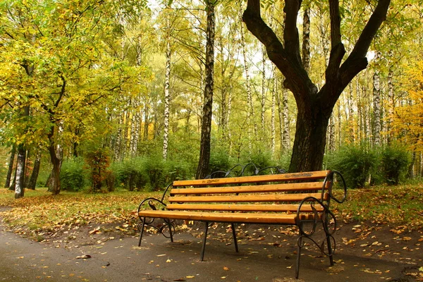 stock image Autumn park