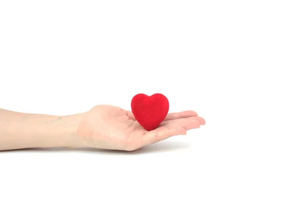 Het hart in hand. — Stockfoto