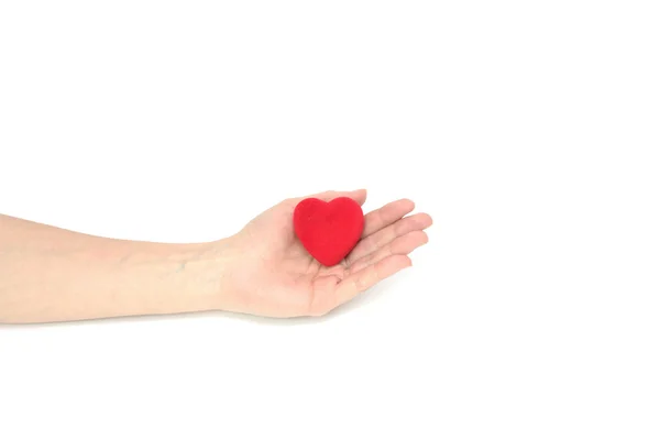 O coração na mão . — Fotografia de Stock